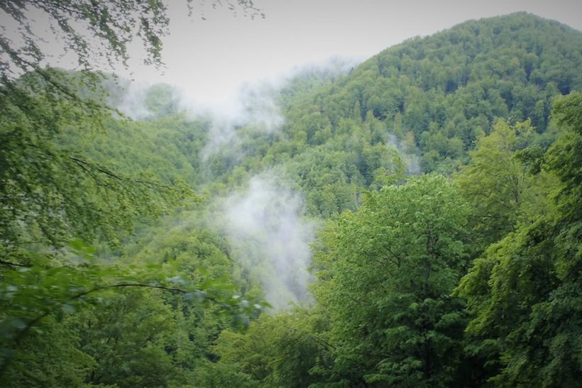 Bjelasnica mountain