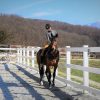 Dressage riding arena
