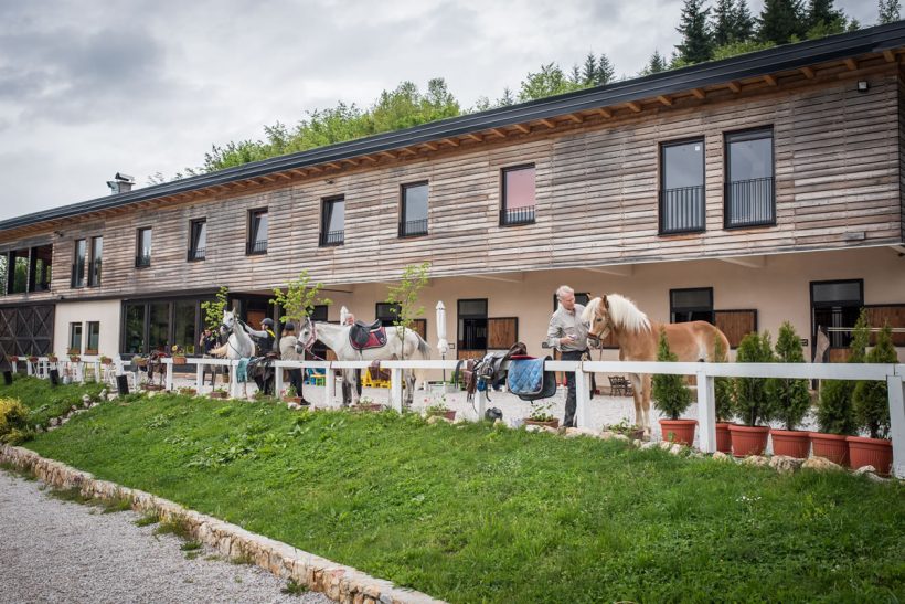 Lazy Horse equestrian center
