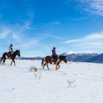 Ride and Ski